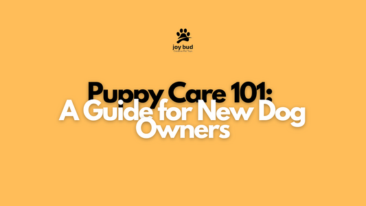 Puppy Care 101: A Guide for New Dog Owners