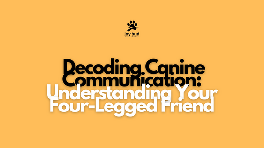 Decoding Canine Communication: Understanding Your Four-Legged Friend