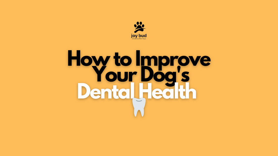 How to Improve Your Dog's Dental Health 🦷 Joy Bud Creative Pet Toys & More