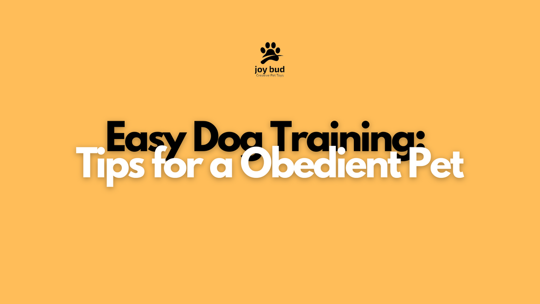 Easy Dog Training: Tips for a Obedient Pet