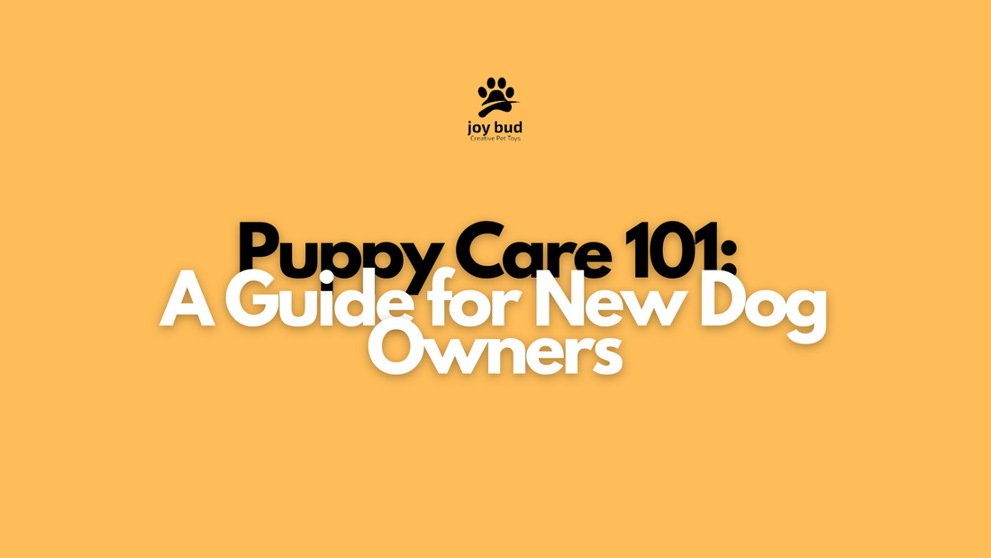 Puppy Care 101: A Guide for New Dog Owners