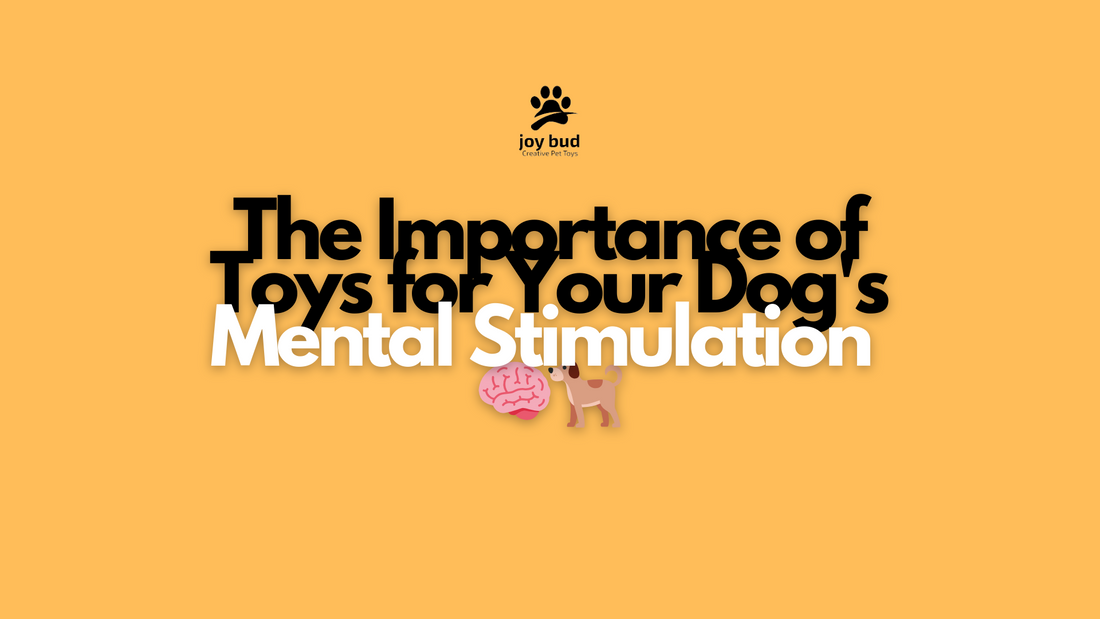 The Importance of Toys for Your Dog's Mental Stimulation 🐶🧠