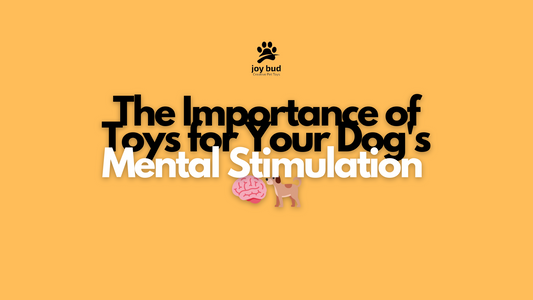 The Importance of Toys for Your Dog's Mental Stimulation 🐶🧠